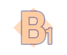 B1