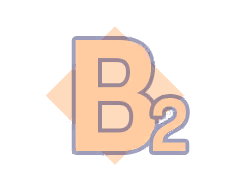 B2
