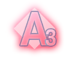 A3