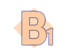 B1