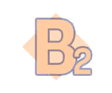 B2